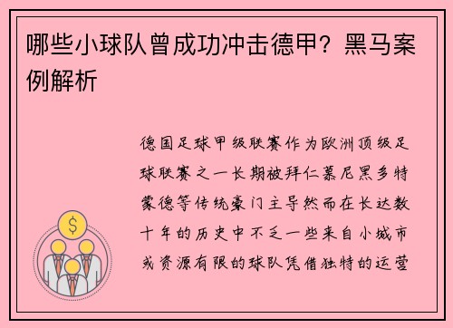 哪些小球队曾成功冲击德甲？黑马案例解析